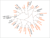 Tree cloud made with SentimentAnalysis