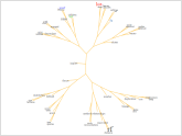 Tree cloud made with PhyloPlot